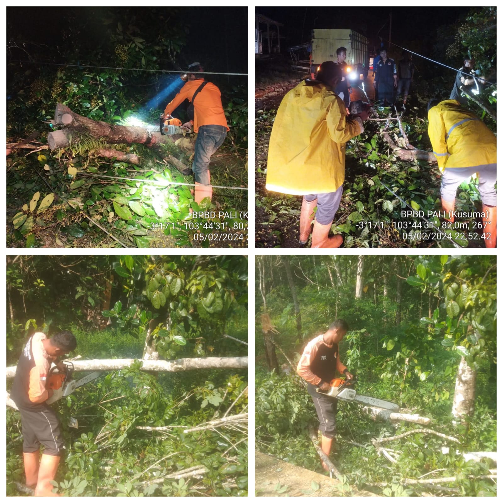 BPBD Kabupaten PALI menghimbau masyarakat agar mewaspadai potensi pohon tumbang